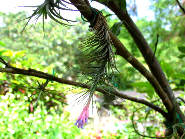 按此在新視窗瀏覽圖片