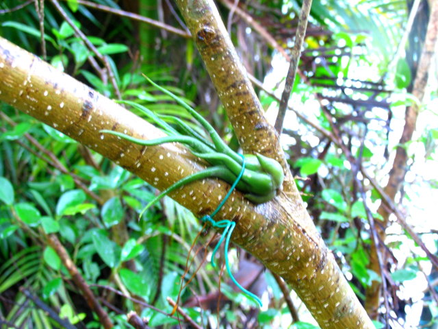 按此在新視窗瀏覽圖片