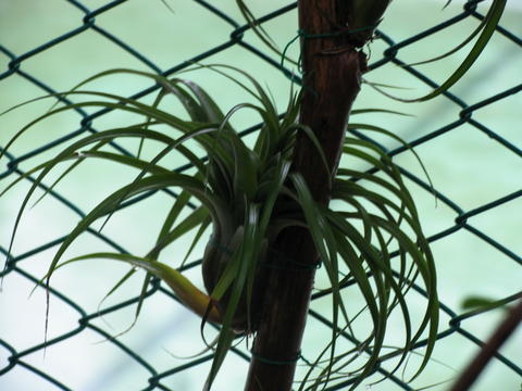 按此在新視窗瀏覽圖片