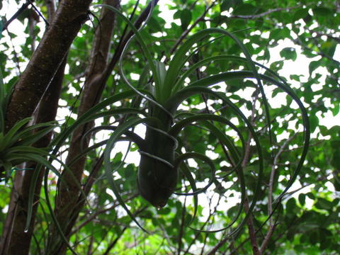 按此在新視窗瀏覽圖片