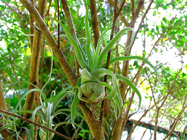 按此在新視窗瀏覽圖片