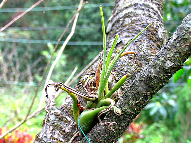 按此在新視窗瀏覽圖片