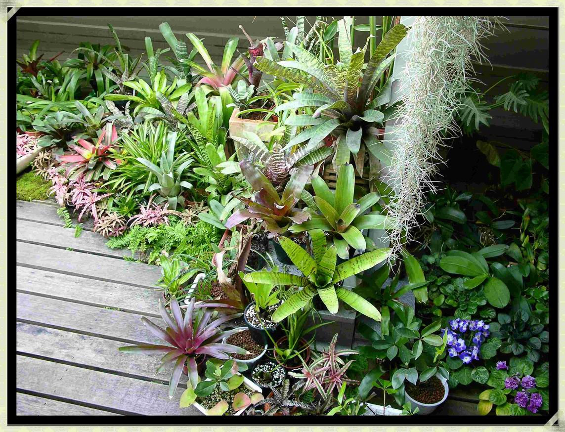 «ö¦¹¦b·sµøµ¡ÂsÄý¹Ï¤ù