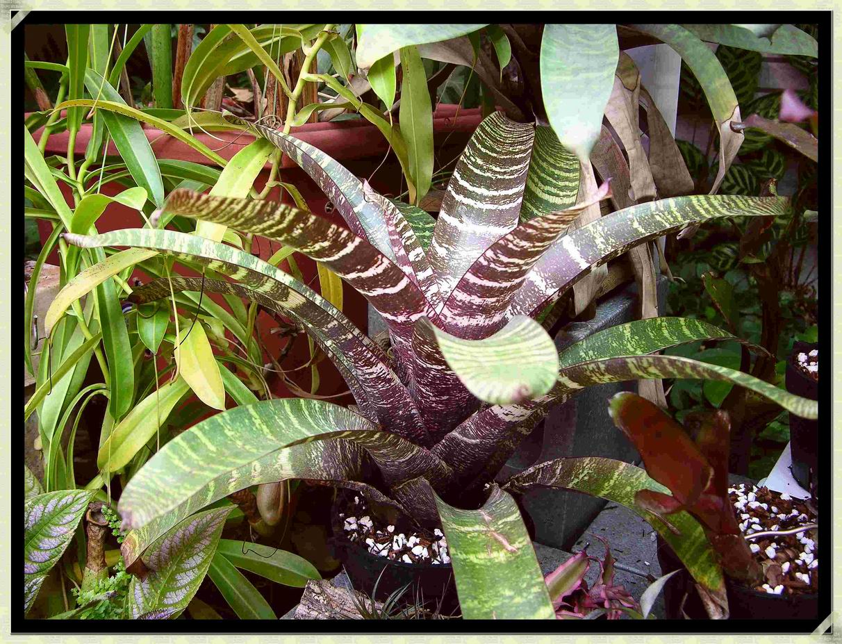 «ö¦¹¦b·sµøµ¡ÂsÄý¹Ï¤ù