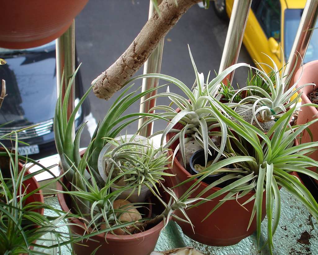 «ö¦¹¦b·sµøµ¡ÂsÄý¹Ï¤ù