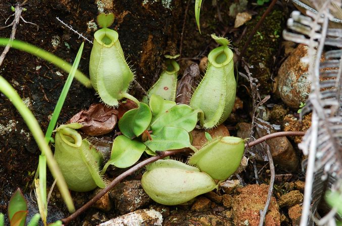 «ö¦¹¦b·sµøµ¡ÂsÄý¹Ï¤ù