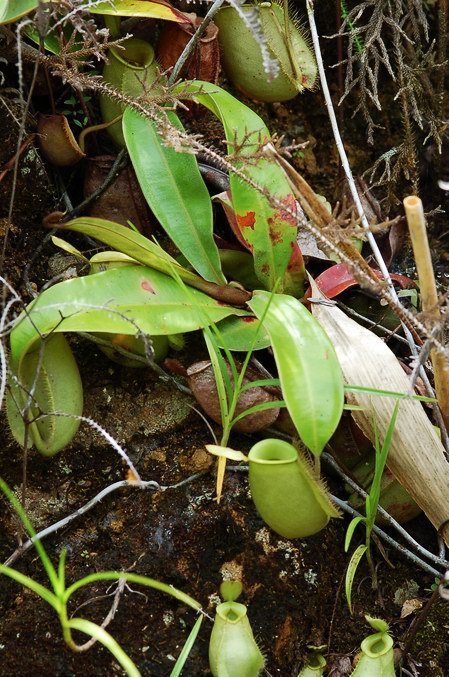 «ö¦¹¦b·sµøµ¡ÂsÄý¹Ï¤ù