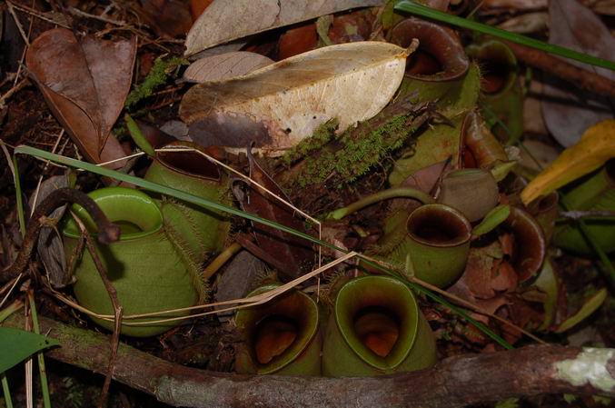 按此在新視窗瀏覽圖片