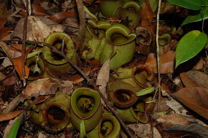 按此在新視窗瀏覽圖片