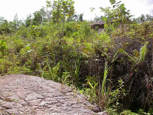 «ö¦¹¦b·sµøµ¡ÂsÄý¹Ï¤ù