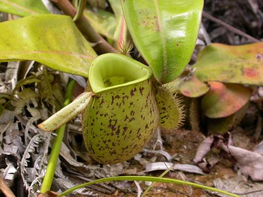 «ö¦¹¦b·sµøµ¡ÂsÄý¹Ï¤ù