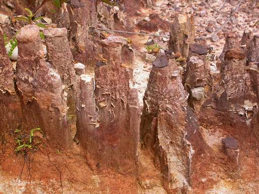 «ö¦¹¦b·sµøµ¡ÂsÄý¹Ï¤ù