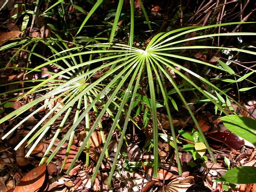 «ö¦¹¦b·sµøµ¡ÂsÄý¹Ï¤ù