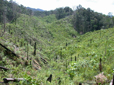 «ö¦¹¦b·sµøµ¡ÂsÄý¹Ï¤ù