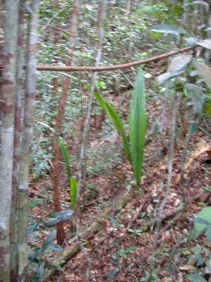 «ö¦¹¦b·sµøµ¡ÂsÄý¹Ï¤ù