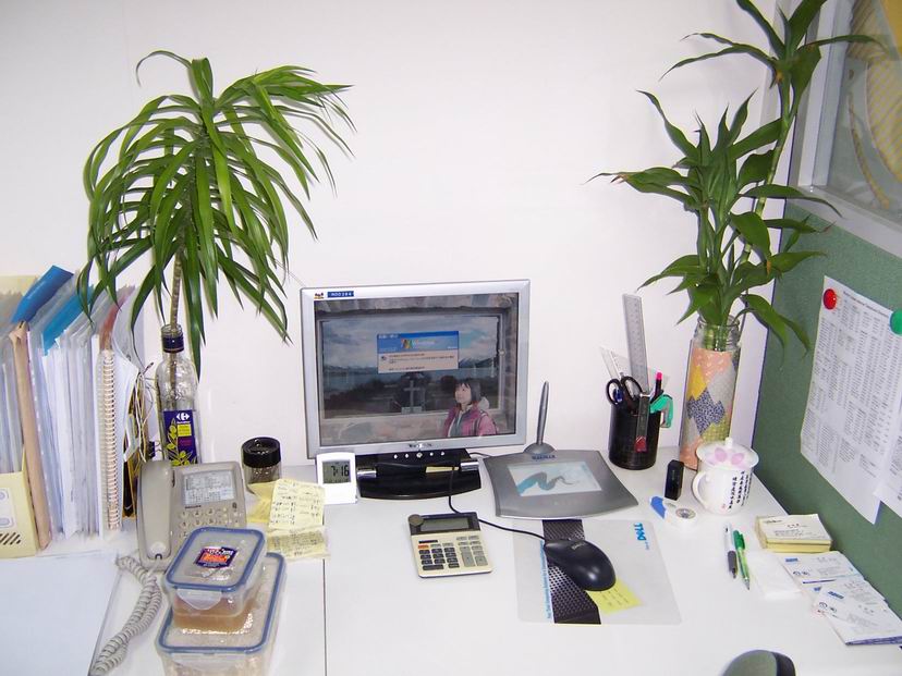 按此在新視窗瀏覽圖片