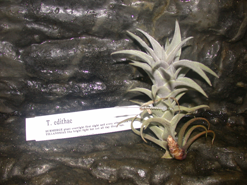 «ö¦¹¦b·sµøµ¡ÂsÄý¹Ï¤ù