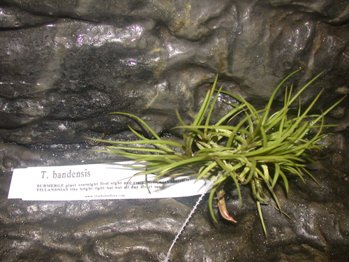 «ö¦¹¦b·sµøµ¡ÂsÄý¹Ï¤ù