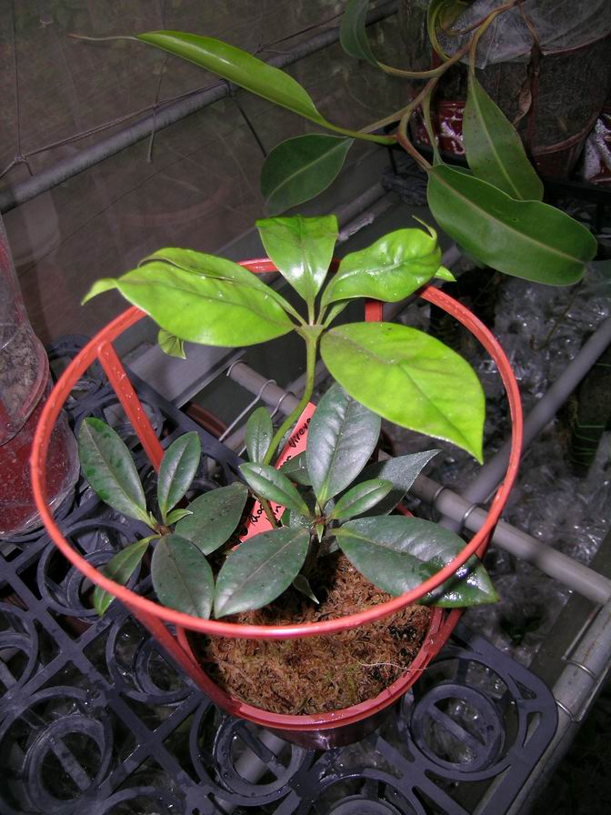 «ö¦¹¦b·sµøµ¡ÂsÄý¹Ï¤ù