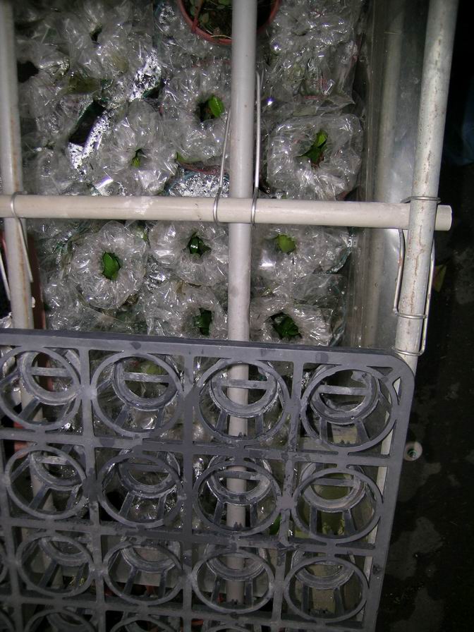 «ö¦¹¦b·sµøµ¡ÂsÄý¹Ï¤ù