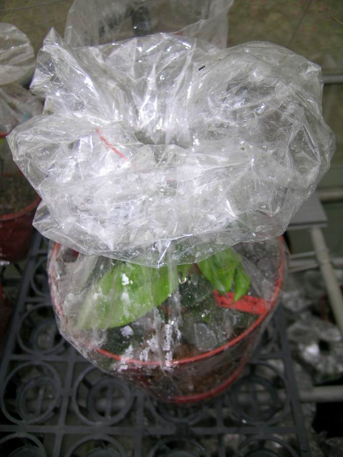 «ö¦¹¦b·sµøµ¡ÂsÄý¹Ï¤ù