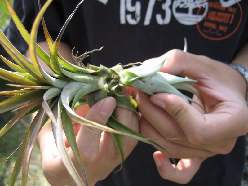 按此在新視窗瀏覽圖片