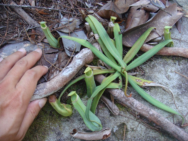 按此在新視窗瀏覽圖片
