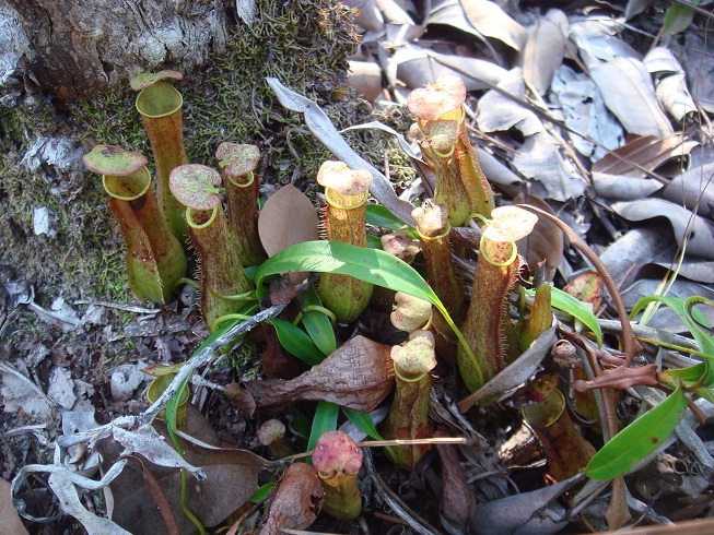 按此在新視窗瀏覽圖片