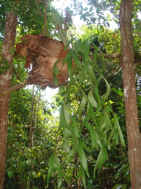 按此在新視窗瀏覽圖片
