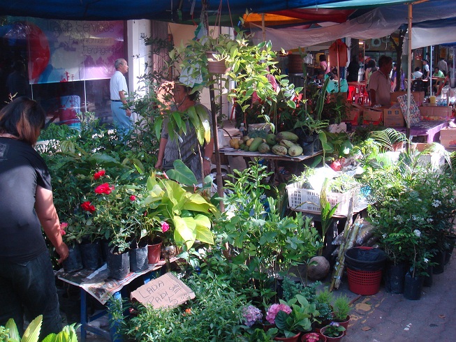 按此在新視窗瀏覽圖片