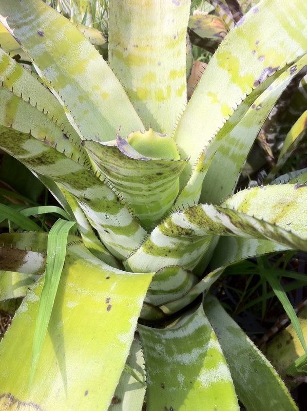 按此在新視窗瀏覽圖片