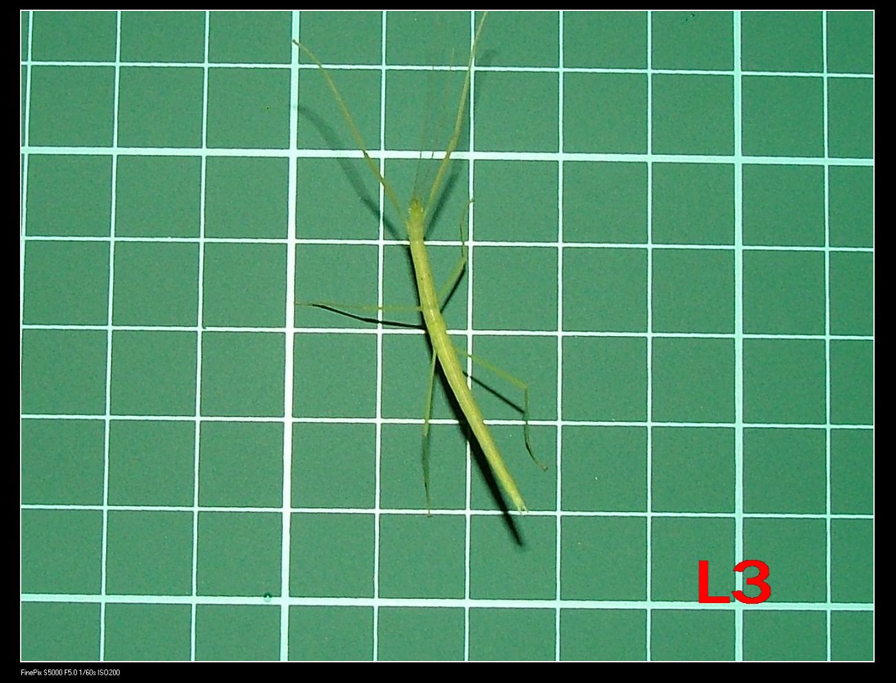 «ö¦¹¦b·sµøµ¡ÂsÄý¹Ï¤ù