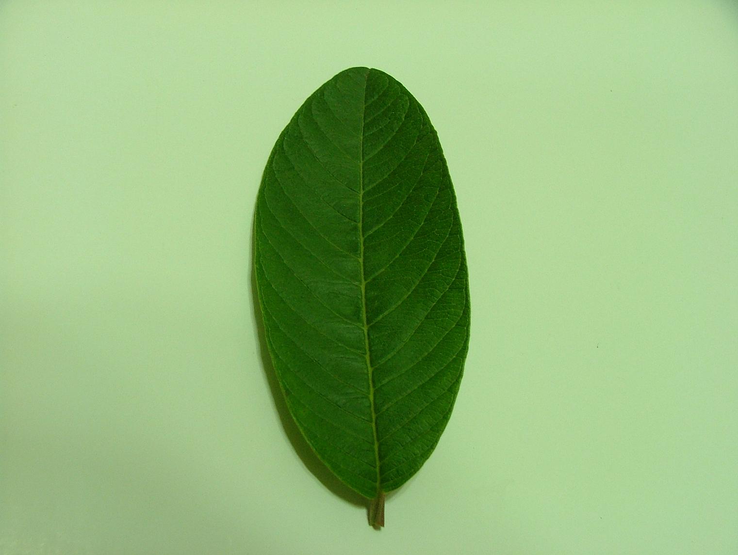 «ö¦¹¦b·sµøµ¡ÂsÄý¹Ï¤ù