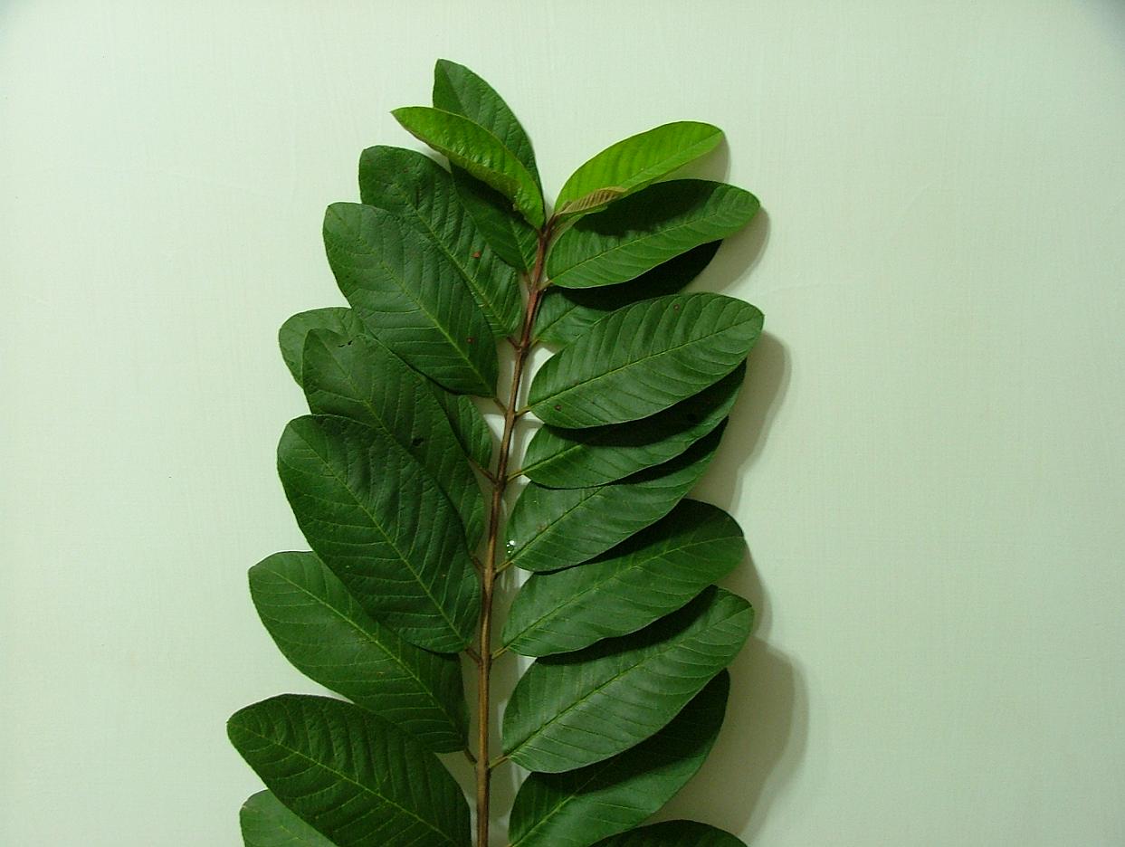 «ö¦¹¦b·sµøµ¡ÂsÄý¹Ï¤ù