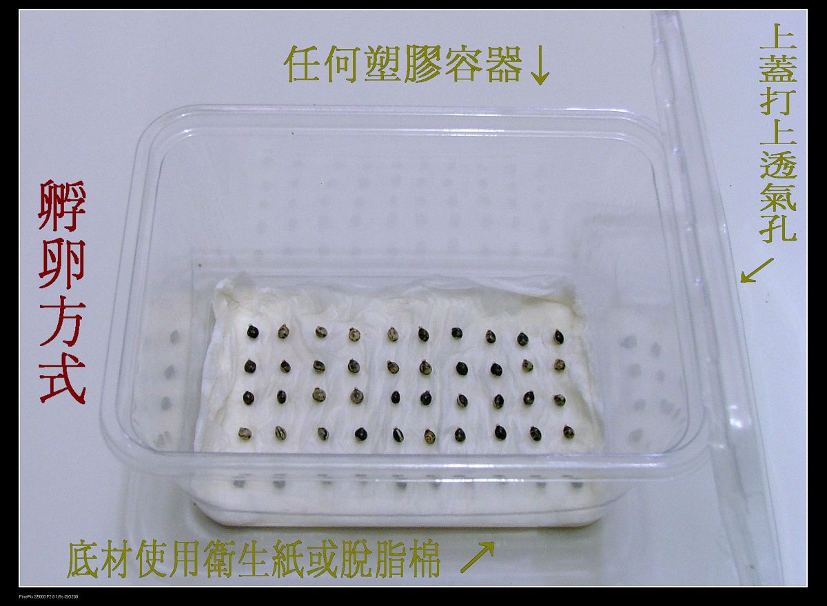 «ö¦¹¦b·sµøµ¡ÂsÄý¹Ï¤ù