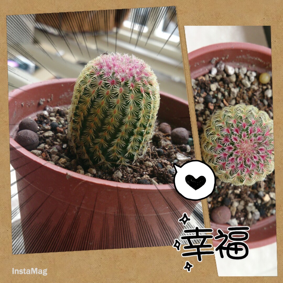 按此在新視窗瀏覽圖片