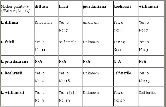 «ö¦¹¦b·sµøµ¡ÂsÄý¹Ï¤ù