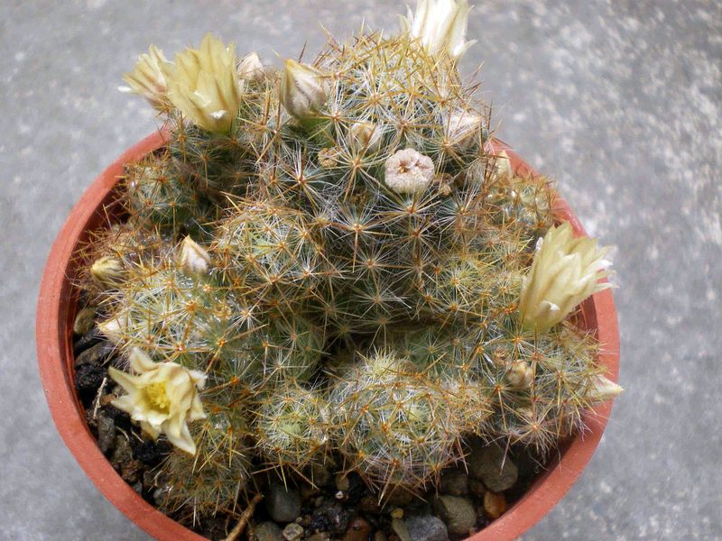 «ö¦¹¦b·sµøµ¡ÂsÄý¹Ï¤ù