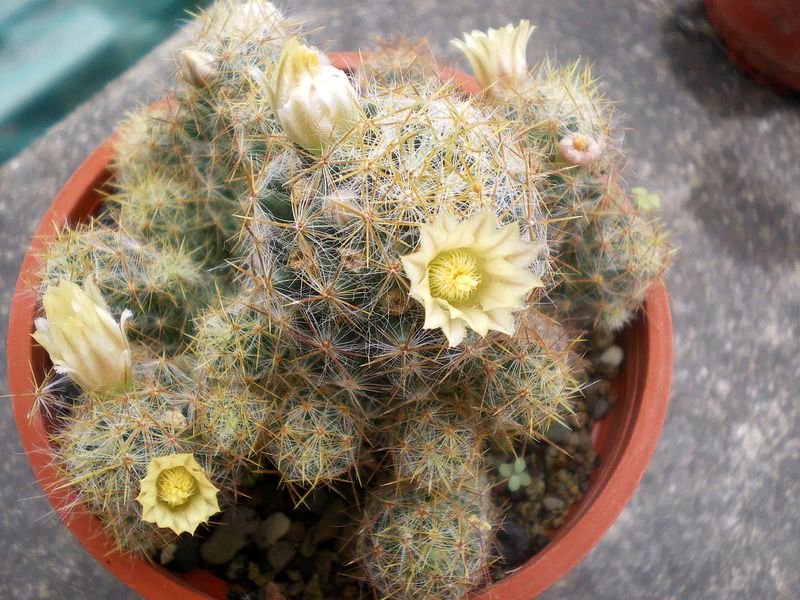 «ö¦¹¦b·sµøµ¡ÂsÄý¹Ï¤ù