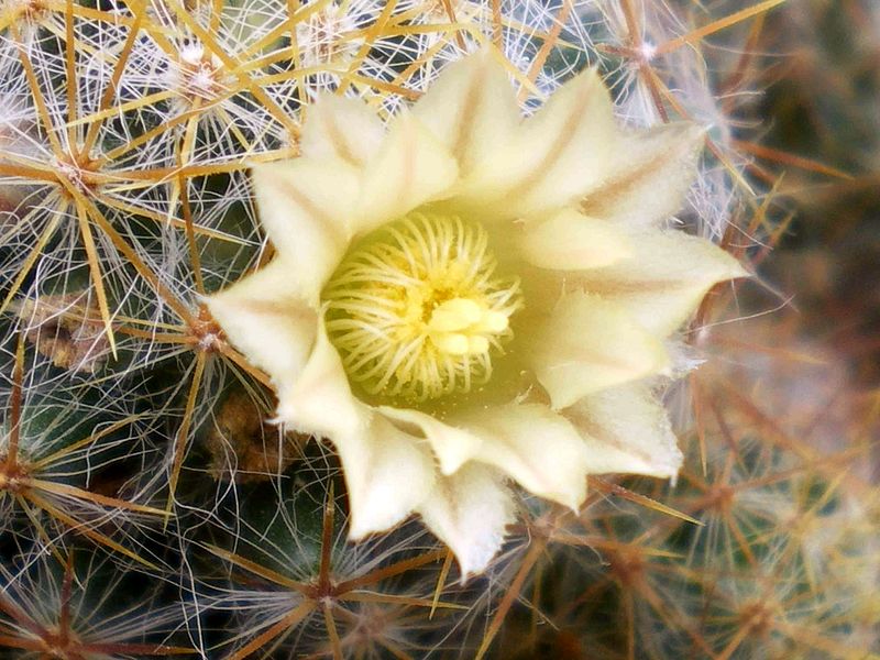 «ö¦¹¦b·sµøµ¡ÂsÄý¹Ï¤ù