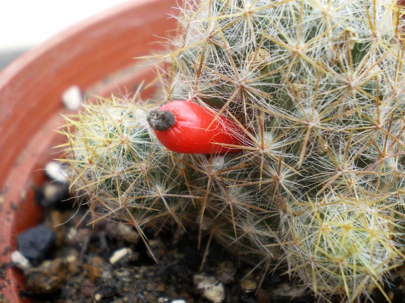 «ö¦¹¦b·sµøµ¡ÂsÄý¹Ï¤ù