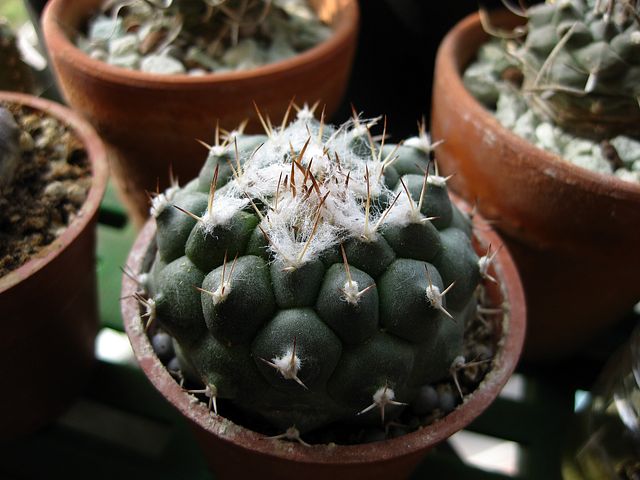 «ö¦¹¦b·sµøµ¡ÂsÄý¹Ï¤ù